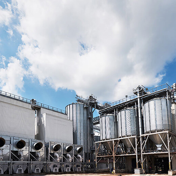 Çevre İzin ve Lisansı